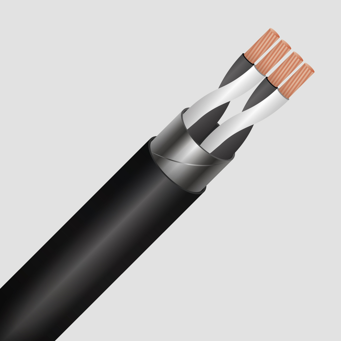 RE2X(St)Hfl Pair BTC Iberica